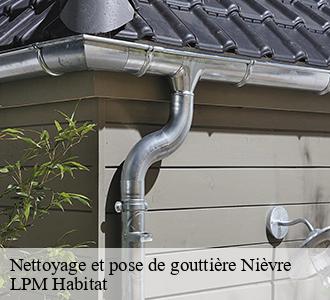 Nettoyage et pose de gouttière Nièvre 