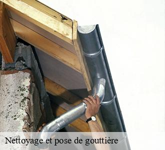 Nettoyage et pose de gouttière Nièvre 