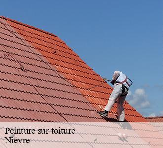 Peinture sur toiture Nièvre 