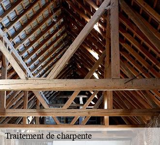 Traitement de charpente Nièvre 