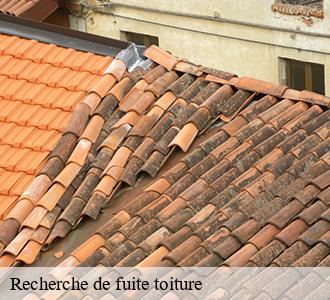 Recherche de fuite toiture Nièvre 