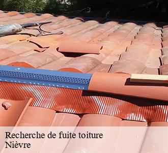 Recherche de fuite toiture Nièvre 