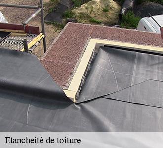 Etancheité de toiture Nièvre 