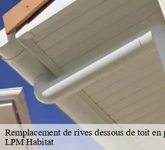 Remplacement de rives dessous de toit en pvc Nièvre 