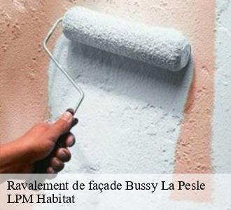 Ravalement de façade  bussy-la-pesle-58420 LPM Habitat