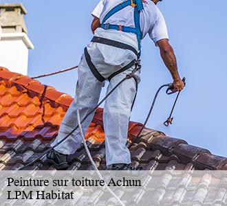 Peinture sur toiture  achun-58110 LPM Habitat