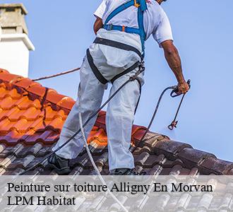 Peinture sur toiture  alligny-en-morvan-58230 LPM Habitat