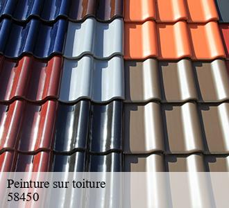 Peinture sur toiture  58450