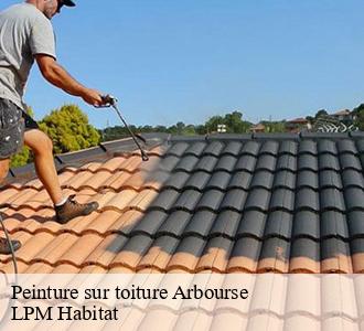 Peinture sur toiture  58350