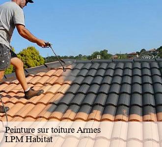 Peinture sur toiture  58500