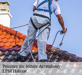 Peinture sur toiture  arzembouy-58700 LPM Habitat