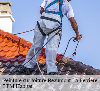 Peinture sur toiture  beaumont-la-ferriere-58700 LPM Habitat