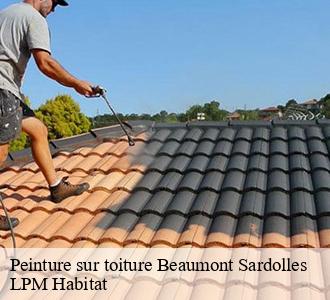 Peinture sur toiture  58270