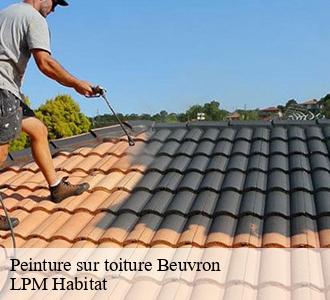 Peinture sur toiture  58210