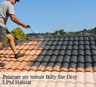 Peinture sur toiture  58500