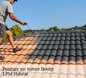 Peinture sur toiture  58310