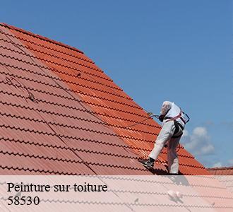 Peinture sur toiture  58530