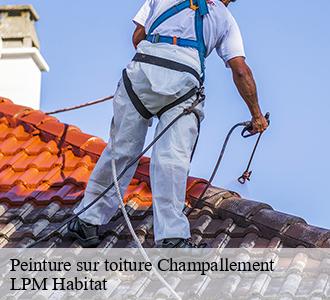 Peinture sur toiture  champallement-58420 LPM Habitat