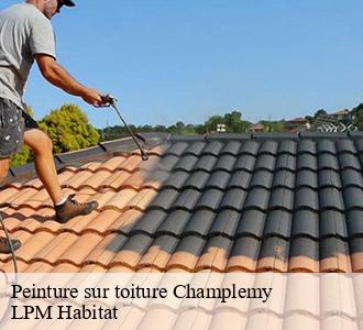 Peinture sur toiture  58210