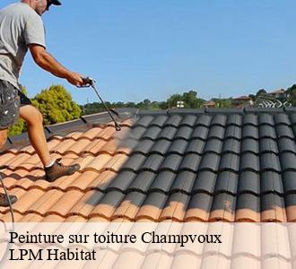 Peinture sur toiture  58400