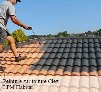 Peinture sur toiture  58220