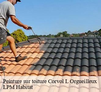 Peinture sur toiture  58460