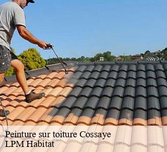 Peinture sur toiture  58300