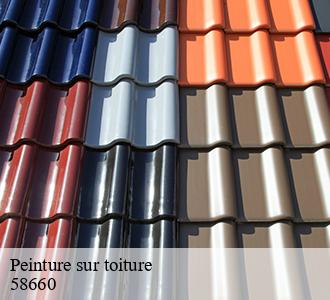 Peinture sur toiture  58660