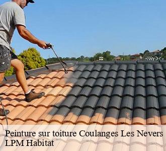 Peinture sur toiture  58660