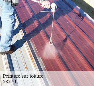 Peinture sur toiture