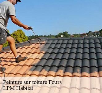 Peinture sur toiture  58250