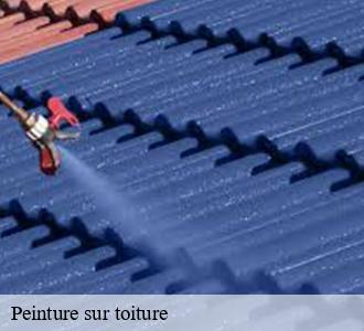 Peinture sur toiture  58600