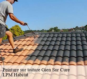 Peinture sur toiture  58230