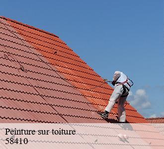 Peinture sur toiture  58410