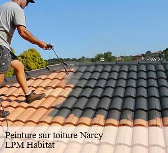 Peinture sur toiture  58400