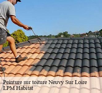 Peinture sur toiture  58450