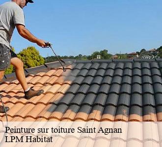 Peinture sur toiture  58230