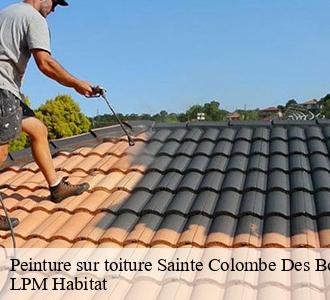 Peinture sur toiture  58220