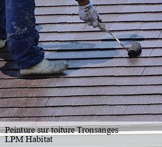 Peinture sur toiture