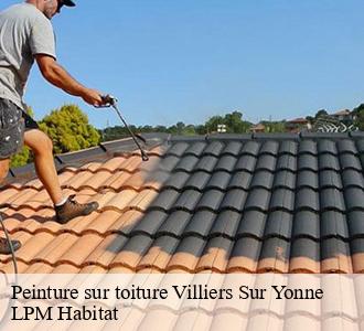 Peinture sur toiture  58500