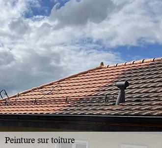 Peinture sur toiture