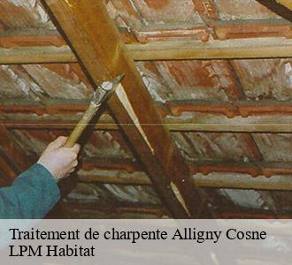 Traitement de charpente  alligny-cosne-58200 LPM Habitat