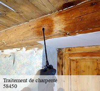 Traitement de charpente  58450