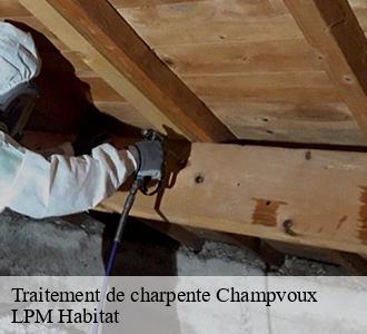 Traitement de charpente  58400