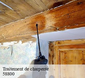 Traitement de charpente  58800