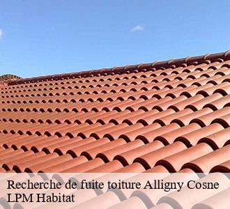 Recherche de fuite toiture  alligny-cosne-58200 LPM Habitat