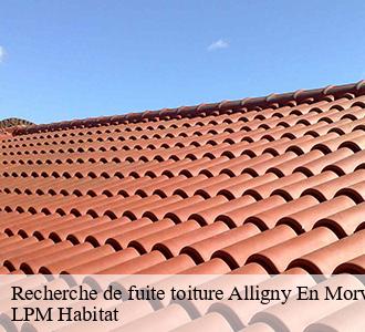 Recherche de fuite toiture  alligny-en-morvan-58230 LPM Habitat