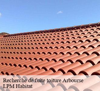 Recherche de fuite toiture  arbourse-58350 LPM Habitat