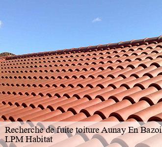 Recherche de fuite toiture  aunay-en-bazois-58110 LPM Habitat