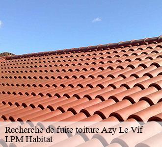 Recherche de fuite toiture  azy-le-vif-58240 LPM Habitat